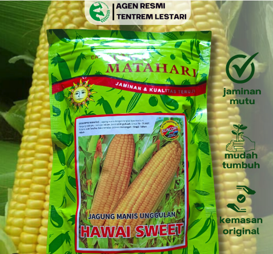 Produk Terlaris